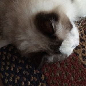 Meet your Posher, Bonnie